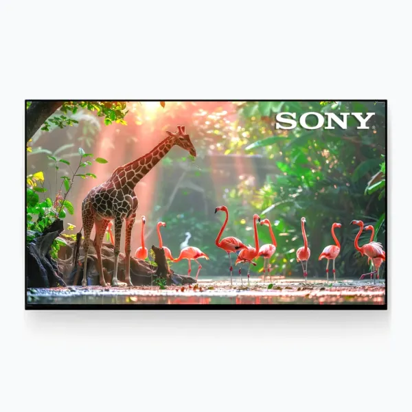 Bravia S22M2 Series