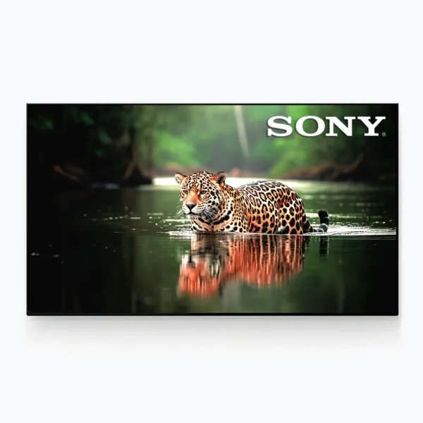 Bravia S30 Series