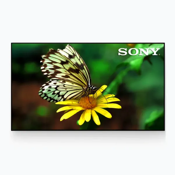 Bravia XR55A Series