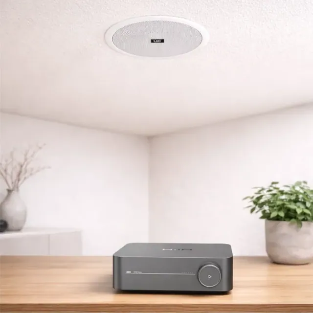 WiiM Amplifier + Urbanclassic THX608 Speaker