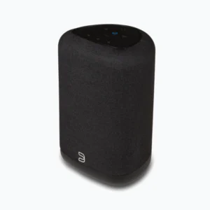 Pulse Flex Wireless Speaker