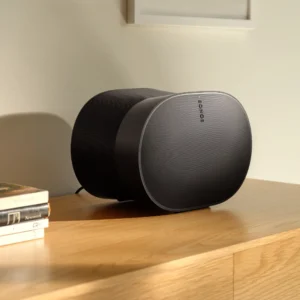 ERA 300 Wireless Speaker