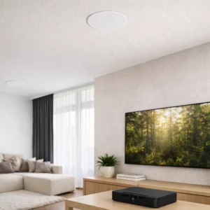 PSB 605 Speaker + Bluesound Powernode Edge